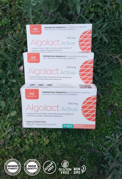 Muscle Performance & Recovery Probiotic | ALGOLACT ACTIVE Alphyca®