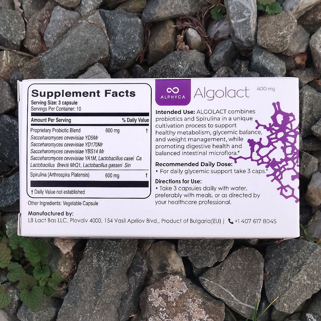 Weight Support & Metabolic Balance Probiotic | Algolact Alphyca®